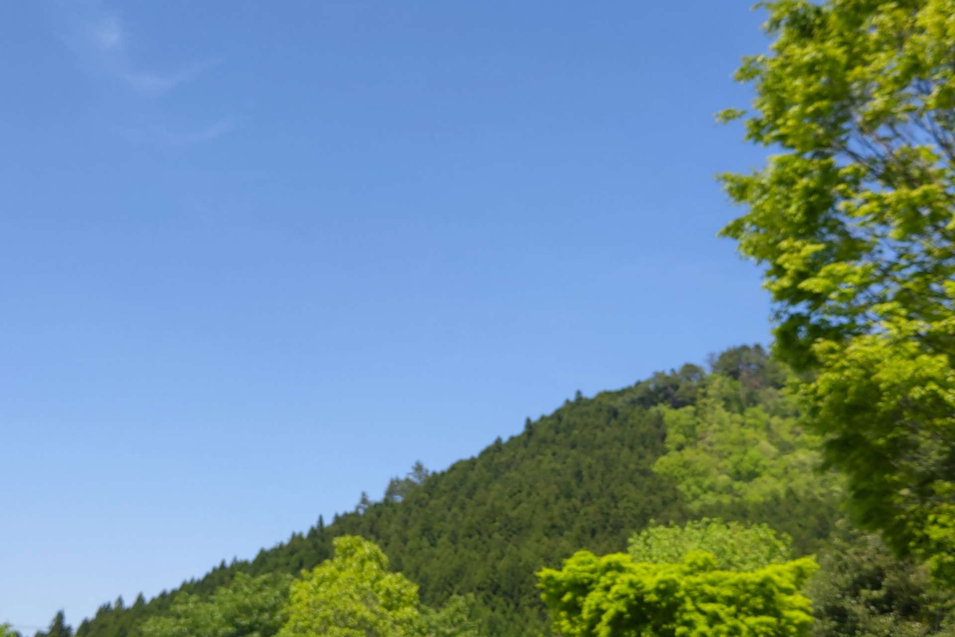 ゴールデン・ウィークの過ごし方